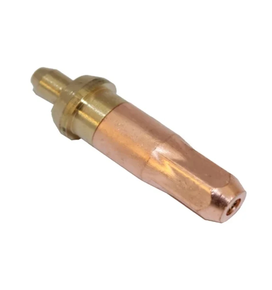 Bép cắt gas CG1-30